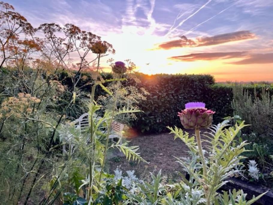 Tranquil Norfolk Log Cabin - Stunning Sunset Views Weston Longville Exterior foto